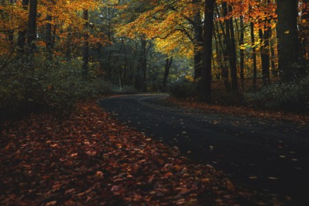 tumblr_og1fla6jp71raqtl2o4_r2_540