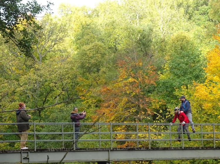 11219133_1644559392489983_4737975335683476039_n