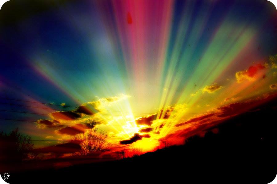 995839_169483466564294_1610944119_n