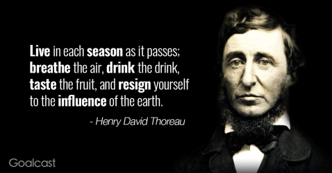 thoreau
