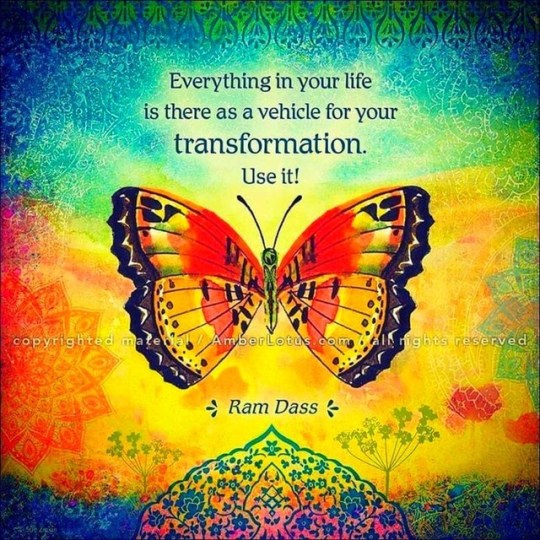 tumblr_558165bf8cecc88de809cff10e6f89d0_2541d821_540